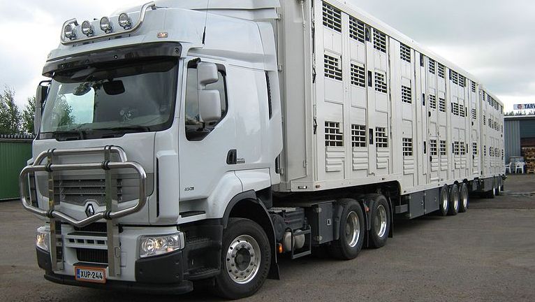 transporte animales covid-19