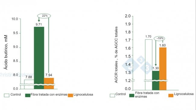 Figura 1. Controle = sem fibra, Fibra tratada com enzima = PNA sol&uacute;vel, Lignocelulose = PNA insol&uacute;vel. (A) A produ&ccedil;&atilde;o de &aacute;cido but&iacute;rico aumenta 22% em leit&otilde;es (15 kg) durante a fermenta&ccedil;&atilde;o da fibra sol&uacute;vel. (B) A fermenta&ccedil;&atilde;o da prote&iacute;na &eacute; reduzida em 19% em leit&otilde;es (15 kg) pela fermenta&ccedil;&atilde;o da fibra sol&uacute;vel. SCFA = &aacute;cidos graxos de cadeia curta, SCFA = &aacute;cidos graxos de cadeia ramificada.
