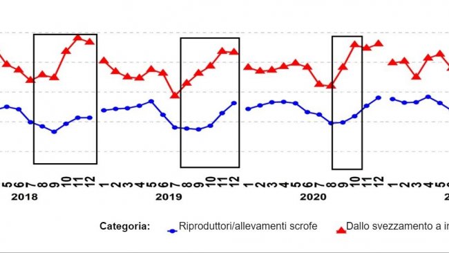 Grafico 1. Percentuale di campioni PCR positivi per le categorie di riproduttori e suini dallo svezzamento alla vendita. I riquadri&nbsp;neri&nbsp;mostrano i picchi pi&ugrave; ripidi e/o precoci nei dati dallo svezzamento alla vendita rispetto a quelli dei riproduttori/scrofe.&nbsp;Fonte:&nbsp;ISU-VDL: Iowa State University Veterinary and Diagnostic Laboratory; UMN-VDL: University of Minnesota Veterinary and Diagnostic Laboratory; SDSU-ADRDL; South Dakota State University Animal Disease Research and Diagnostic Laboratory; KSU-VDL: Kansas State University Veterinary and Diagnostic Laboratory; OH-ADDL: Ohio Animal Disease and Diagnostic Laboratory.
