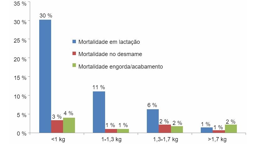 Mortality in each birth weight group by stage of production
