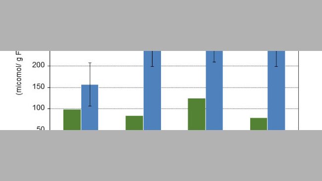 Concentração de ácidos gordos de cadeia curta sobre o bolo alimentar do cólon de leitões de 10 e de 15 dias após o desmame com 4 dietas experimentais diferentes.