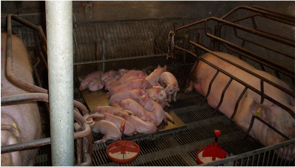 Sala de partos en que se han quitado las separacio 1