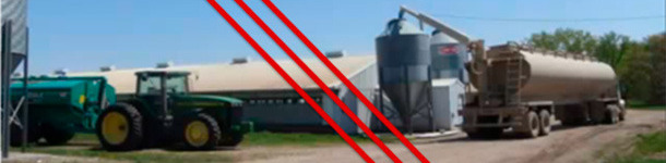 Separaci&oacute;n entre el pienso y el pur&iacute;n es esencial para controlar el DEPV