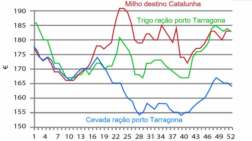 Gr&aacute;fico 1. Evolu&ccedil;&atilde;o&nbsp;semanal do&nbsp;pre&ccedil;o do&nbsp;trigo, do milho e da cevada em&nbsp;2016. Fonte: Lonja de Barcelona.
