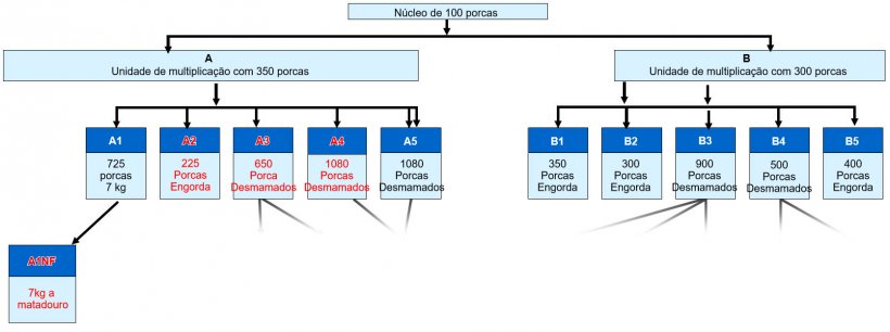 Figura 1. Estrutura da empresa &ndash; todos os s&iacute;tios a encarnado tiveram DE cl&iacute;nica em 2015/6.
