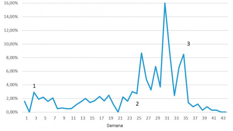 Figura 7. Mortalidade semanal durante os problemas por DE; 1 = redu&ccedil;&atilde;o dos primeiros sinais ap&oacute;s 3-4 semanas; 2 = re-emerg&ecirc;ncia da doen&ccedil;a num n&iacute;vel muito superior; 3 = primeira semana ap&oacute;s a vacina&ccedil;&atilde;o
