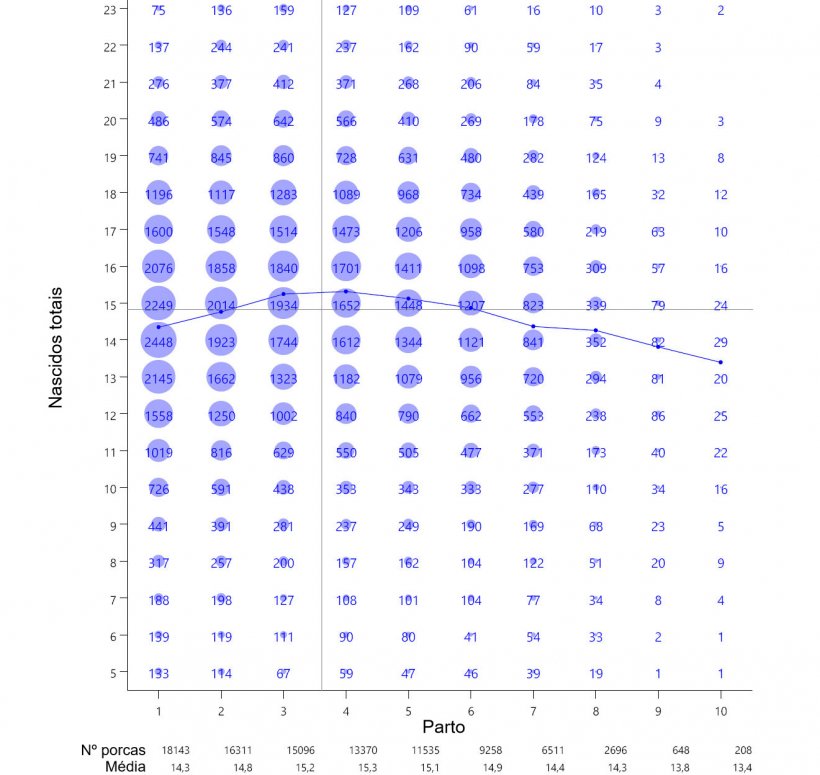 Gr&aacute;fico&nbsp;1: M&eacute;dia de leit&otilde;es nascidos totais por n&uacute;mero de parto a partir de 93.896 partos de porcas hiperprol&iacute;ficas que ocorreram entre Outubro de 2014 e&nbsp;Setembro de 2016
