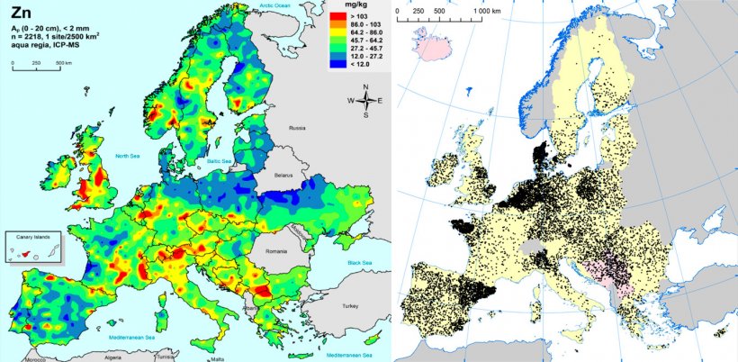 Izquierda: Zinc en suelos agr&iacute;colas de la UE (Gemas 2014): Niveles de zinc en la superf&iacute;cie del suelo (20 cm superiores) en tierra agr&iacute;cola en Europa (tomado de Reimann et al., 2014). Derecha: Granjas porcinas en la UE (Eurostat, 2014).
