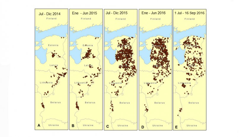 Evoluci&oacute;n de la PPA en jabal&iacute;es en los estados b&aacute;lticos y Polonia desde Julio de 2014 a septiembre de 2016
