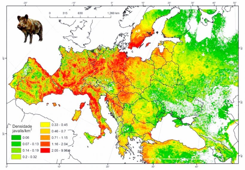 Figura 2: Popula&ccedil;&atilde;o modelada de javali&nbsp;na Europa. Fonte: FAO-ASFORCE, Maio 2015
