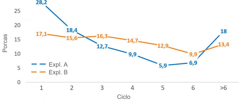 Gr&aacute;fico 2. Estrutura censal por ciclo, a 31 de Dezembro de 2016
