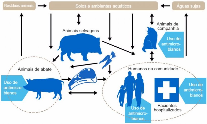 Fluxo de determinantes de resist&ecirc;ncia a antibi&oacute;ticos entre os diferentes reservat&oacute;rios. Em&nbsp;azul indicam-se os pontos onde se administram&nbsp;antibi&oacute;ticos. http://www.effort-against-amr.eu/
