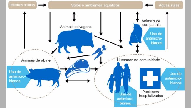 Fluxo de determinantes de resistência a antibióticos entre os diferentes reservatórios. Em azul indicam-se os pontos onde se administram antibióticos. http://www.effort-against-amr.eu/