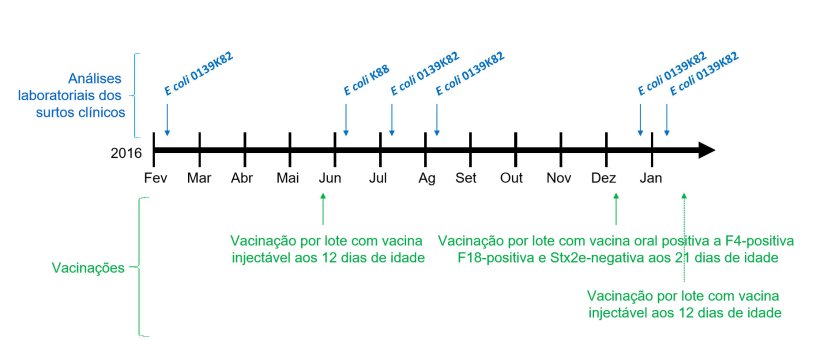 Imagen 1: An&aacute;lises laboratoriais dos surtos cl&iacute;nicos e calend&aacute;rio de vacina&ccedil;&otilde;es
