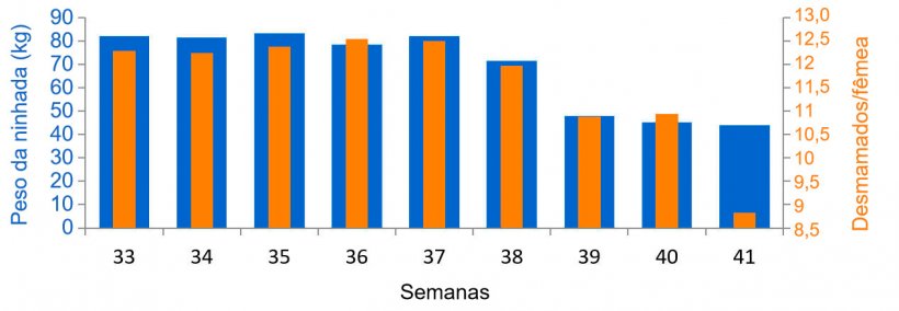 Gr&aacute;fico 3. M&eacute;dia de leit&otilde;es desmamados/f&ecirc;mea e quilogramas de ninhada, antes e durante o quadro sanit&aacute;rio da DES (a partir da semana 38).
