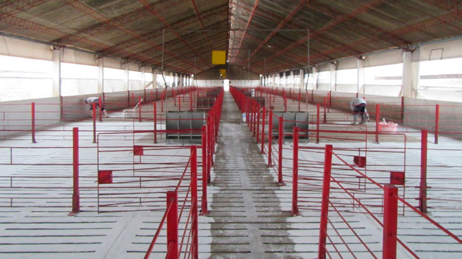 Foto 3. Limpeza e desinfec&ccedil;&atilde;o de instala&ccedil;&otilde;es.
