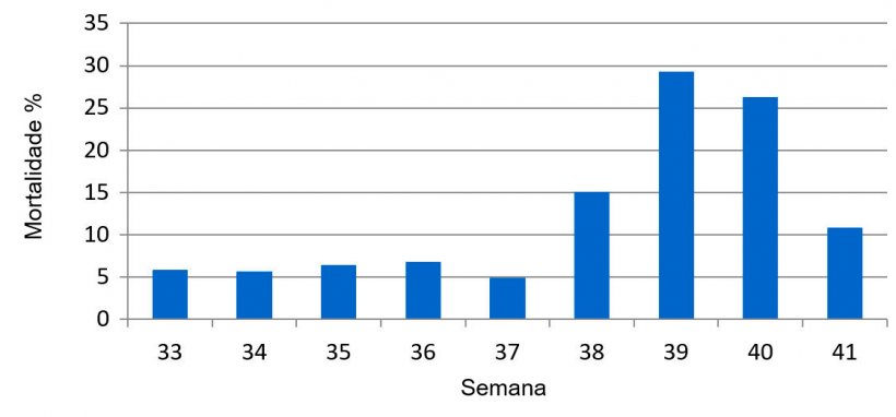 Gr&aacute;fico 1. Percentagem de mortalidade semanal pr&eacute;-desmame, pr&eacute;vio e durante o quadro sanit&aacute;rio de DES.
