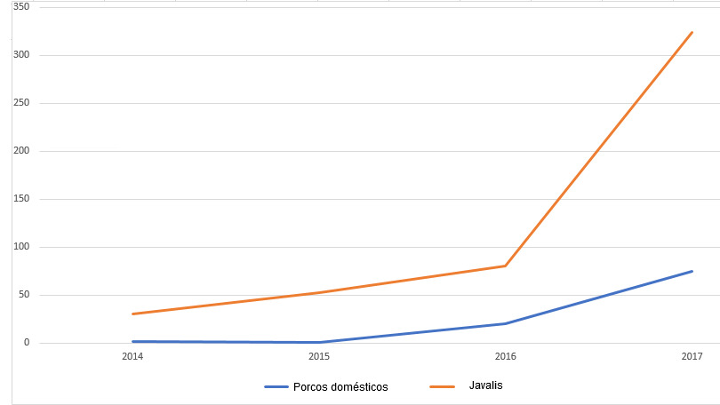 Evolu&ccedil;&atilde;o dos focos de PSA em porcos dom&eacute;sticos e javalis na Pol&oacute;nia.
