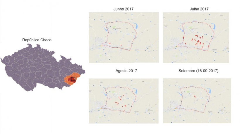 Localiza&ccedil;&atilde;o e evolu&ccedil;&atilde;o dos focos de PSA
