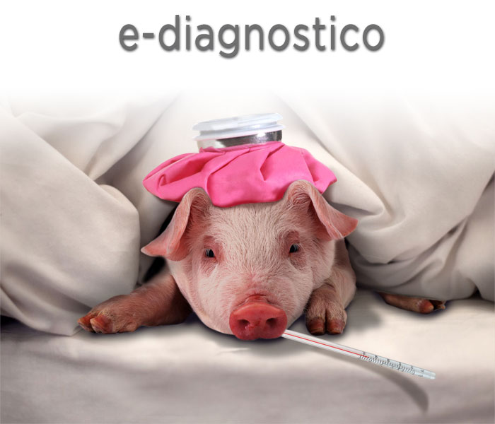 e-diagnostico