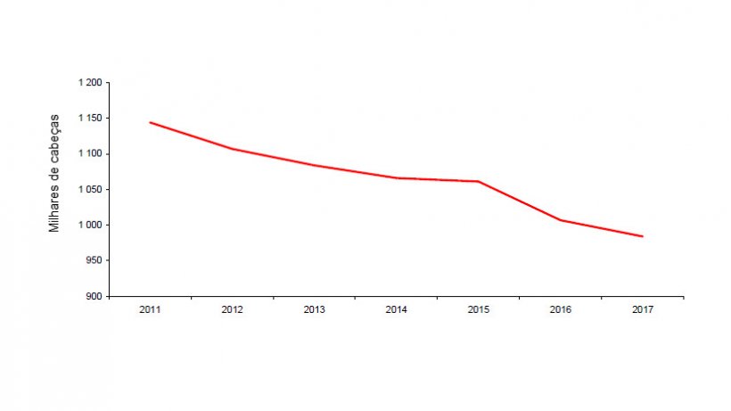 O efectivo de porcas est&aacute; em constante descida. Fonte: Agreste, declara&ccedil;&otilde;es de exist&ecirc;ncias
