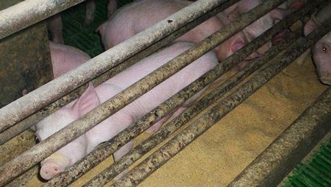 Si las tres zonas no quedan bien delimitadas tendremos problemas