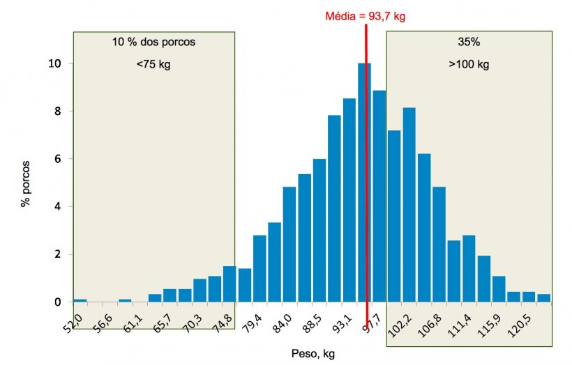 Figura 5. Distribui&ccedil;&atilde;o&nbsp;de pesos no&nbsp;final da&nbsp;engorda. Cerca de&nbsp;35% dos porcos pesam&nbsp;mais de 100 kg, enquanto&nbsp;10% est&atilde;o&nbsp;abaixo dos 75 kg.
