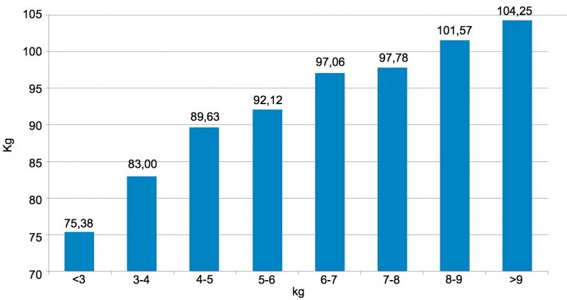 Figura 3. Distribui&ccedil;&atilde;o&nbsp;dos animais em&nbsp;fun&ccedil;&atilde;o&nbsp;do&nbsp;peso (kg) aos 159 dias. Os 6 kg de diferen&ccedil;a entre os&nbsp;5% de porcos com&nbsp;menos peso e&nbsp;os&nbsp;5% com&nbsp;maior&nbsp;peso que se detetaram&nbsp;ao&nbsp;desmame&nbsp;(figura 2) converteram-se em&nbsp;30 kg.
