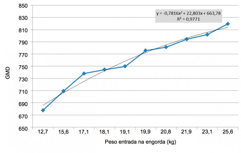 Figura 6. GMD nos primeiros 100 dias de engorda&nbsp;dependendo&nbsp;do&nbsp;peso &agrave;&nbsp;entrada. As diferen&ccedil;as de peso na entrada da&nbsp;engorda&nbsp;ampliam-se (multiplicam-se&nbsp;por 2). Cada kg de diferen&ccedil;a de peso &agrave;&nbsp;entrada &eacute; aproximadamente equivalente a 11 g de GMD.
