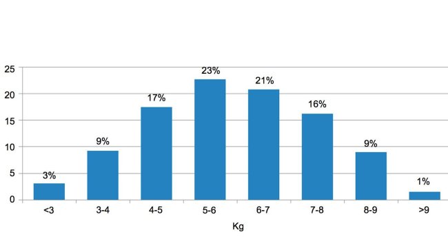 Figura 2. Distribuição dos animais de acordo com o peso à entrada do desmame. A diferença entre os 5% de porcos com menos peso e os 5% com maior peso é de 6kg.