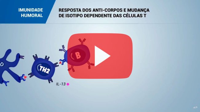 Imunidade humoral específica