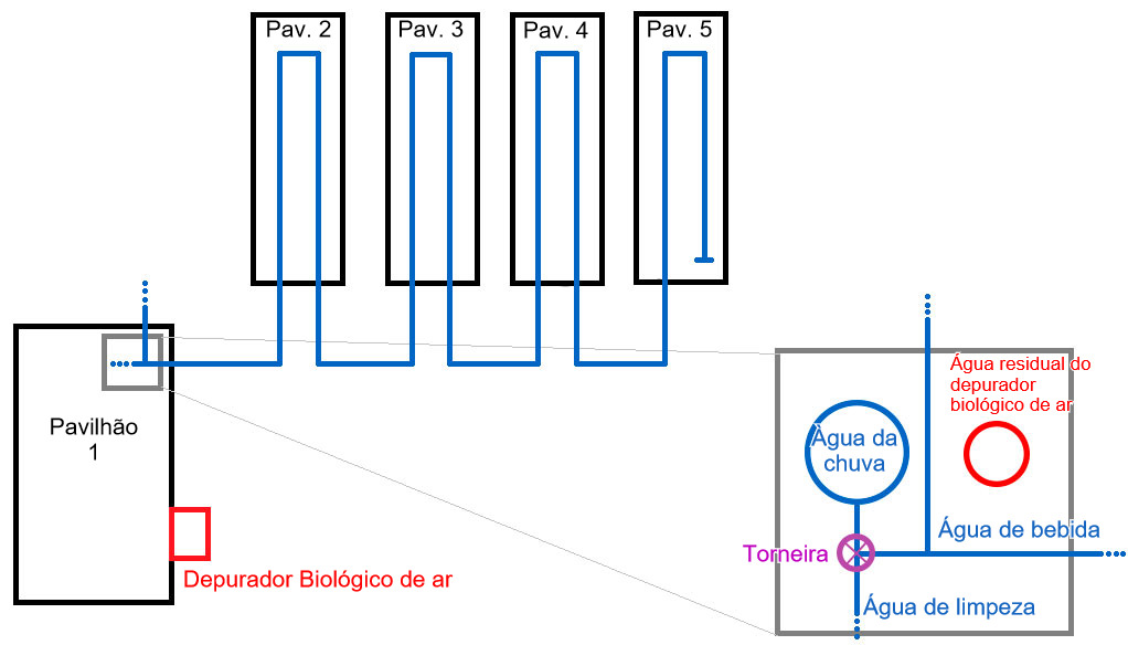 Esquema da exploração de engorda, com uma capacidade para 2500 porcos de engorda.