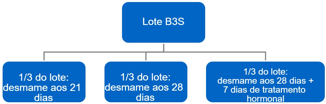 Proceso del paso de bandas a 3 semanas a bandas semanales