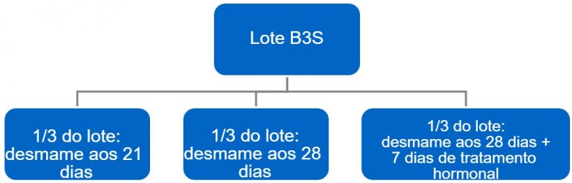 Figura 4. Processo de passagem de bandas a 3 semanas (B3S) para bandas semanais.
