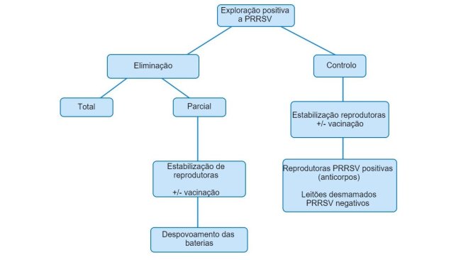 Figura 1. Vista esquemática das diferentes planificações em expolações PRRSV positivas