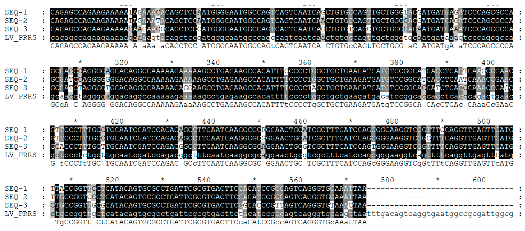 Figura 2. A sequenciação do vírus é realizada a partir de produtos de PCR obtendo a leitura de nucleótidos geralmente de alguns fragmentos do genoma do ARN viral&nbsp;em determinadas regiões objectivo- ORF.
