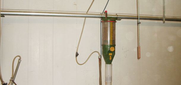 Maternidade com a superfície da parede em plástico