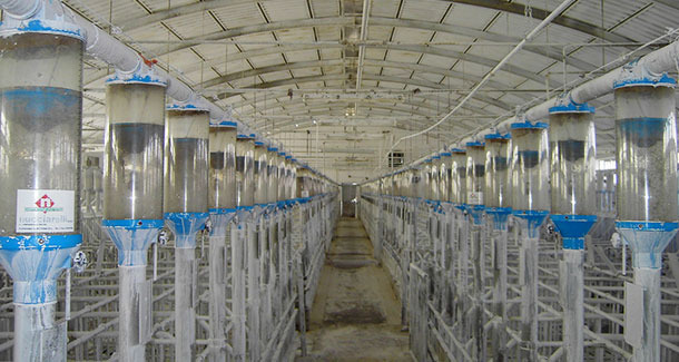 Pavilhão de controlo da gestação caiado, pode-se observar que com pouca entrada de luz a luminosidade é boa