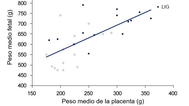 Gr&aacute;fica 3. Tanto no&nbsp;grupo de controlo (CTR) como no&nbsp;grupo ligado (LIG), grupo ao qual se encerrou um&nbsp;oviducto, o peso dos fetos &eacute; dependente do peso da&nbsp;placenta. (Town, 2005).
