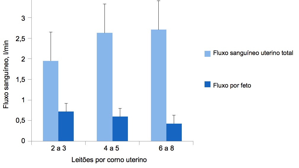 <p>Gráfica 2. O fluxo sanguíneo uterino total adapta-se ao tamanho da ninhada, mas não o suficiente para manter o fluxo sanguíneo por leitão. (Père, 2000)</p>