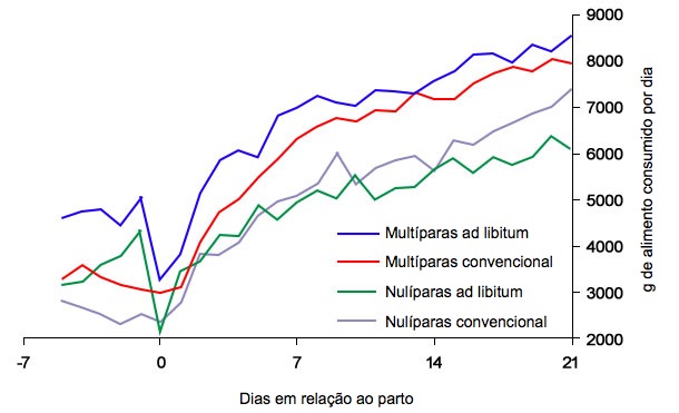 Gr&aacute;fico&nbsp;6. Consumo de alimento na lacta&ccedil;&atilde;o de porcas alimentadas ad libitum e/ou com um programa convencional no periparto
