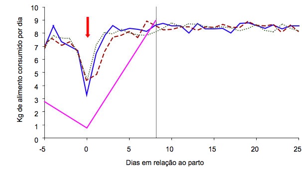 <p>Gr&aacute;fico 4: Esquema de alimenta&ccedil;&atilde;o das porcas em fun&ccedil;&atilde;o da condi&ccedil;&atilde;o corporal da porca no dia 105 e do regime de alimenta&ccedil;&atilde;o: ad libitum (verde, azul, vermelho) ou standard (cor-de-rosa) &nbsp;(A. Cools, 2014)</p>
