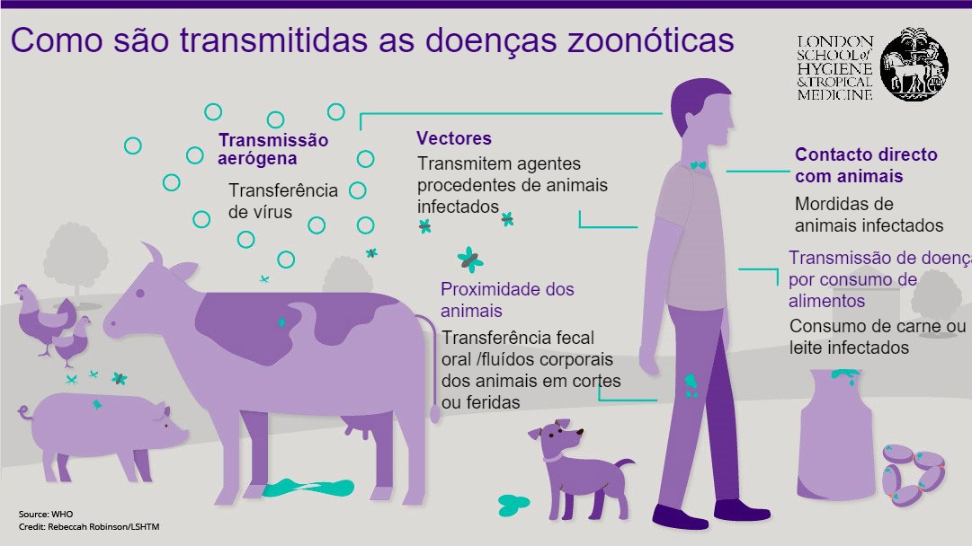 Animal Health/Sanidade Animal