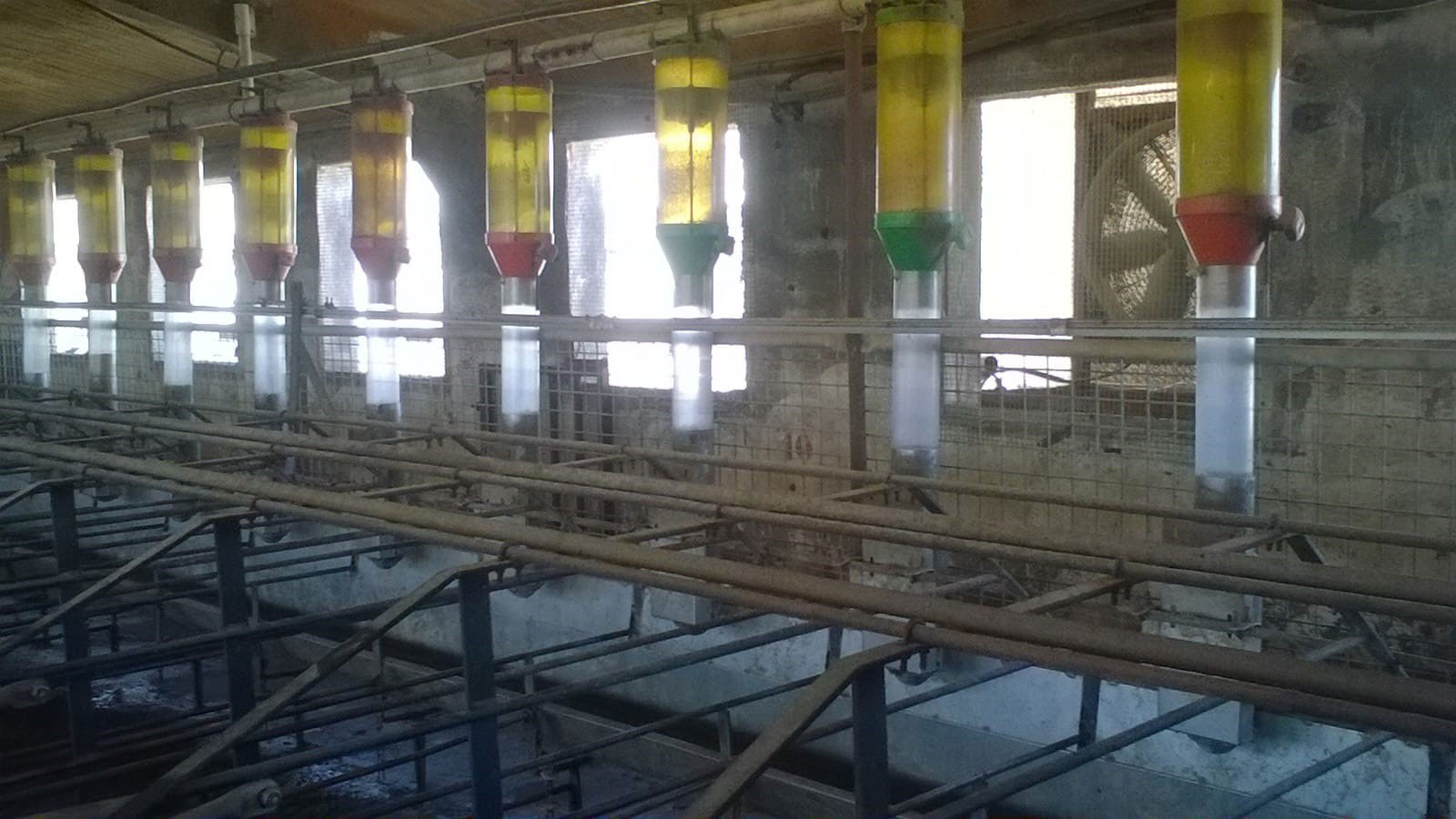 Alimentação tipo tolva