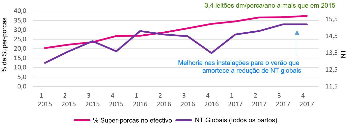 Percentagem de super-porcas e nascidos totais globais