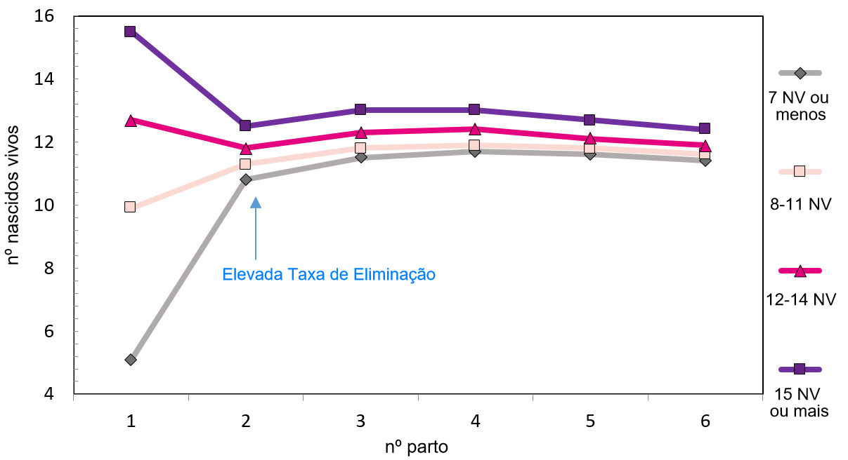 Produção ao longo da vida da porca em função dos leitões nascidos