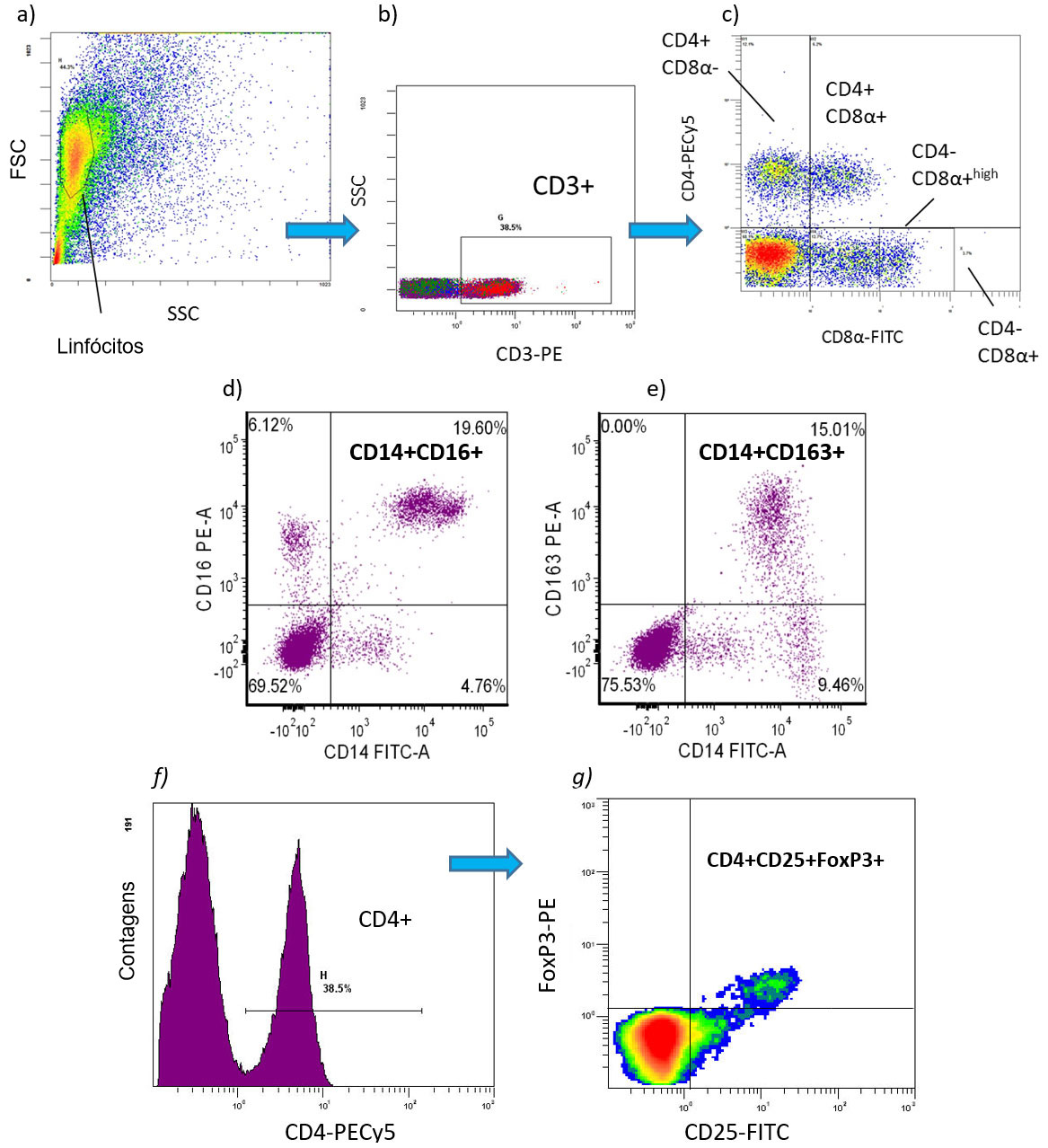 Citometria de fluxo versus de imagem: Comparação de técnicas para