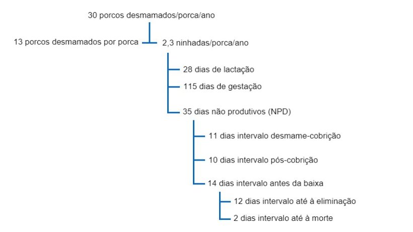 Fig. 1 Interrela&ccedil;&atilde;o entre os DNP e outros factores de produtividade numa &aacute;rvore produtiva para 30 porcos desmamados por porca e ano
