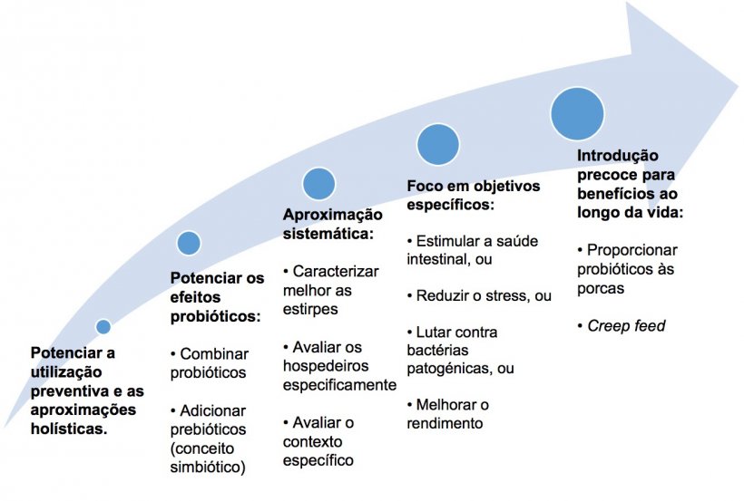 Figura 2. Estrat&eacute;gias para melhorar a utiliza&ccedil;&atilde;o de probi&oacute;ticos em etapas precoces.
