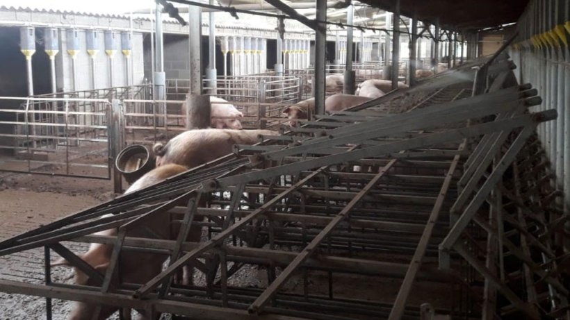 Figura 4. Tipo de parques dispon&iacute;veis na explora&ccedil;&atilde;o.
